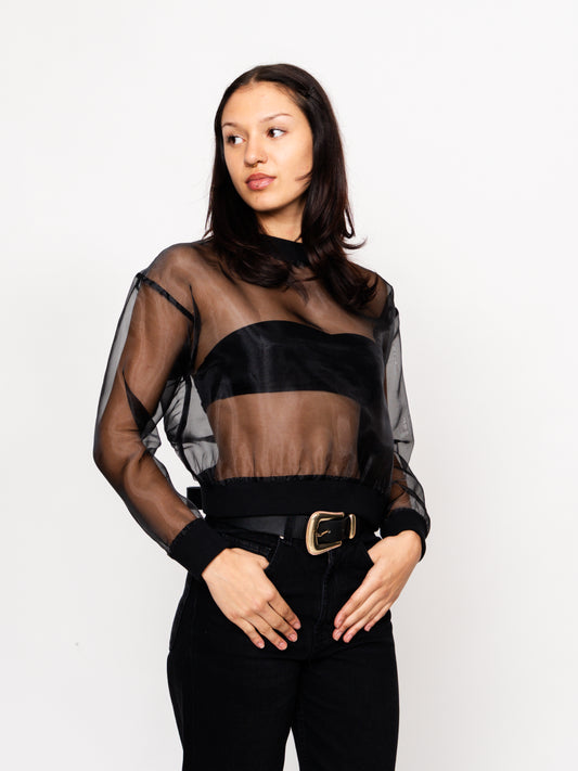 Black Long Sleeve Sheer Organza Top