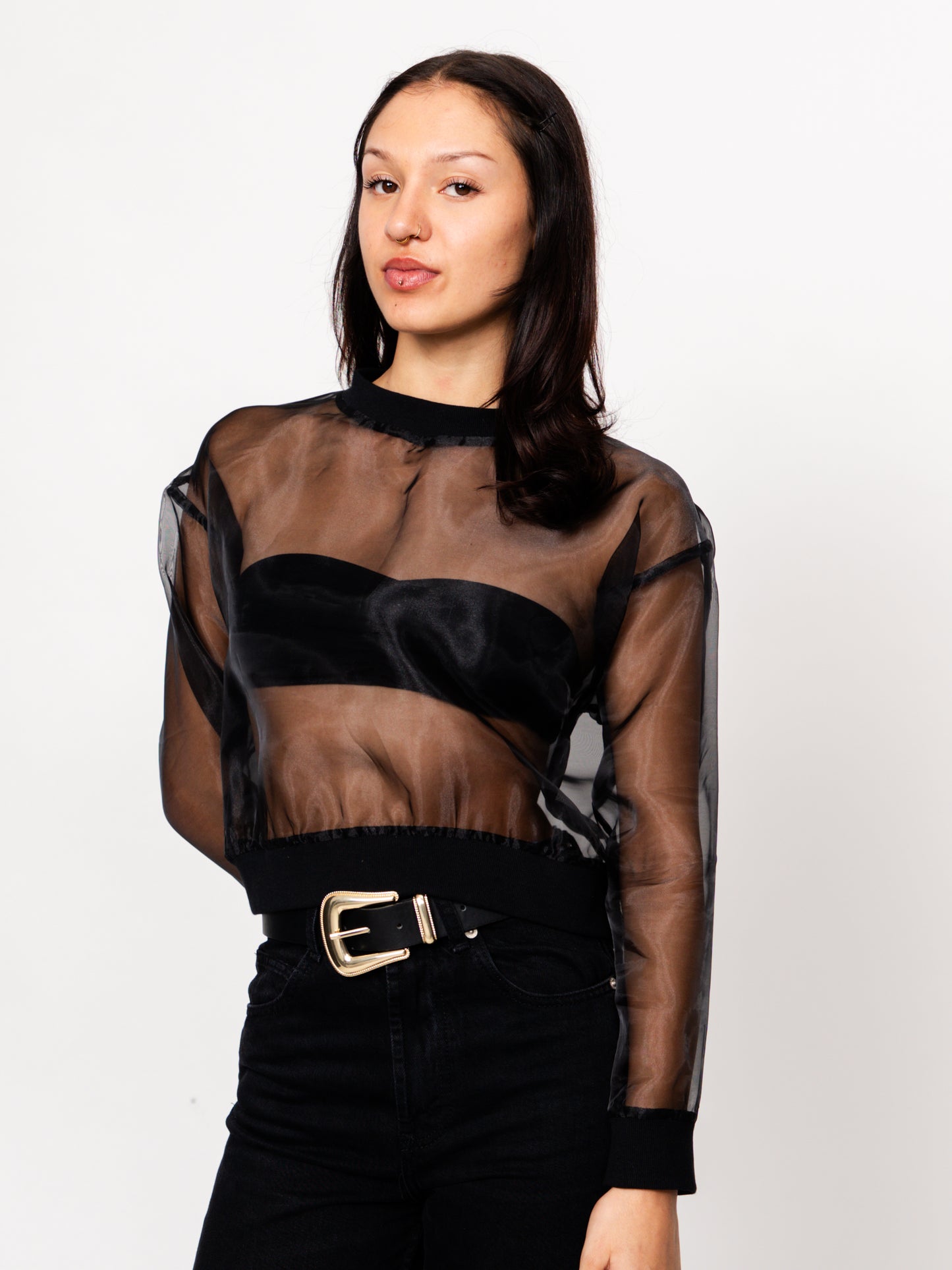 Black Long Sleeve Sheer Organza Top